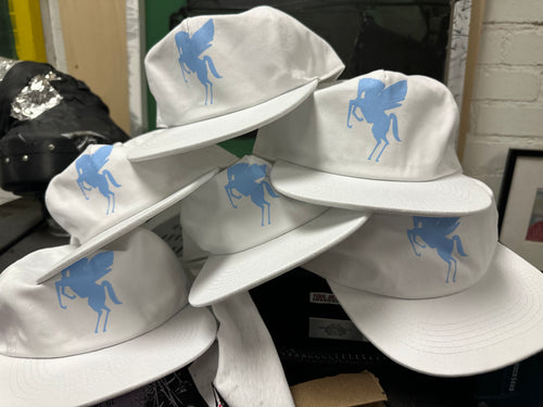 Pegasus Hat